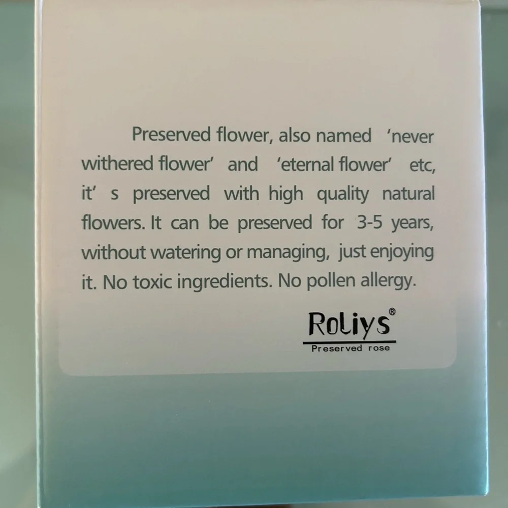 NWT Roliys Preserved/Eternal Rose